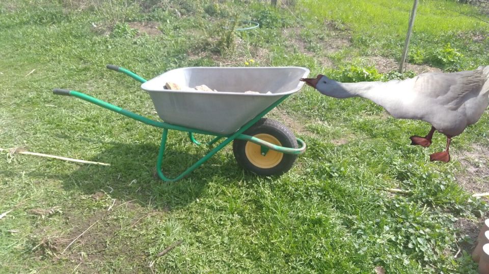 ����, ����� � ��� ��� ������ ��� ������