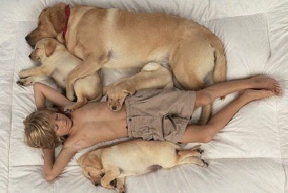 Почему собака — идеальный компаньон для вашего ребенка