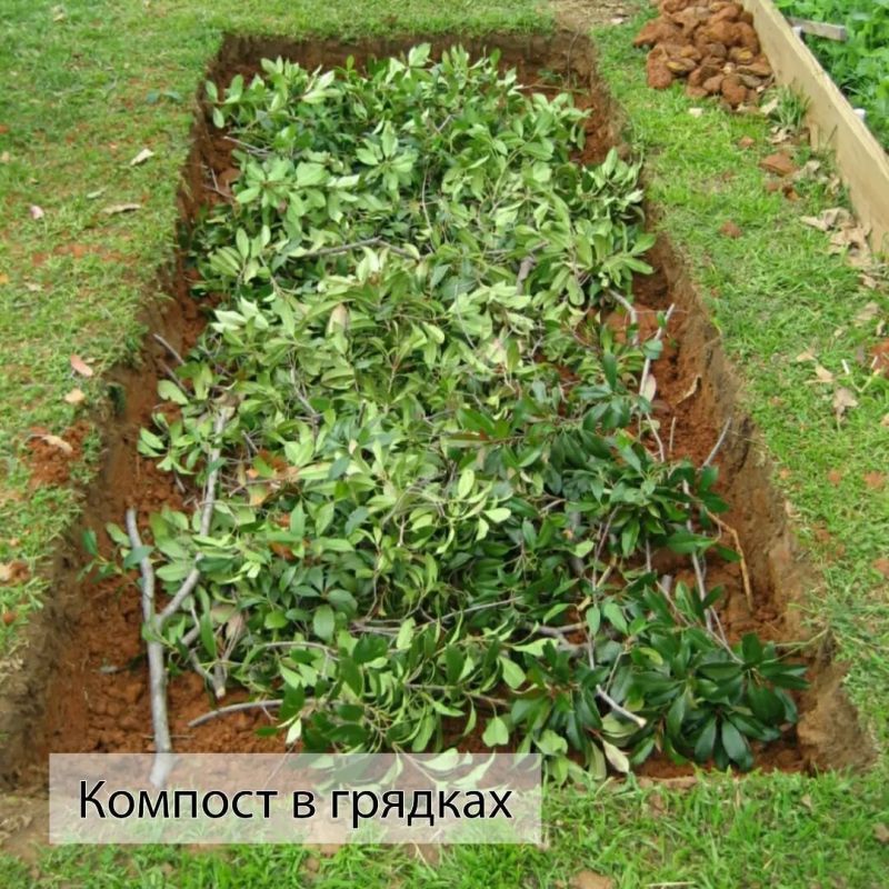 Как легко создать компост в грядках: полезные советы и рекомендации