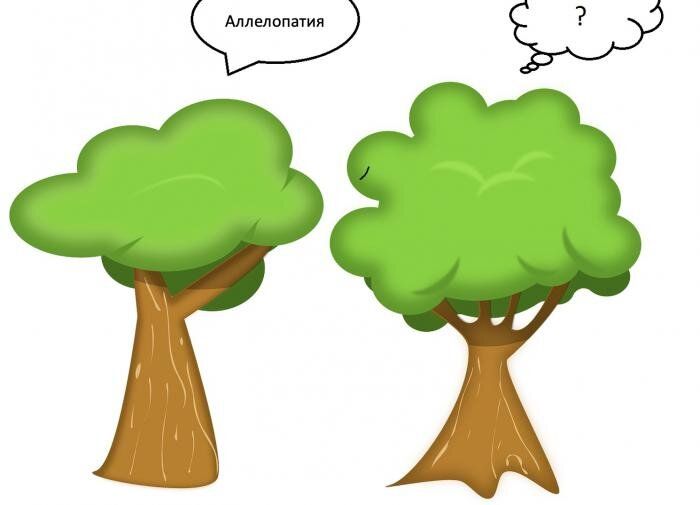 ����������� � ��������: ��� ���� ���� ��������� ������