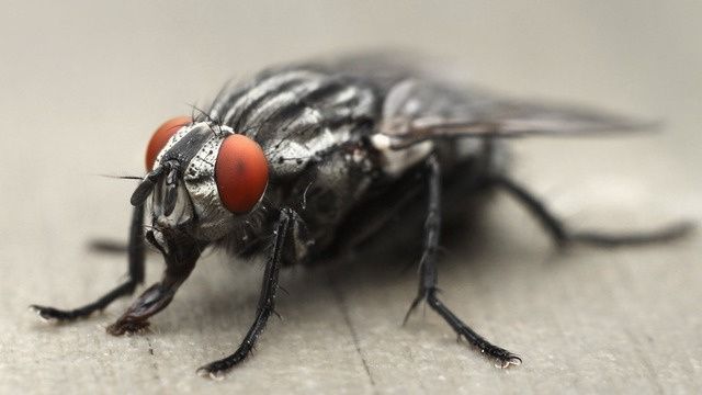 ����������� ������� ���������� �� ��� � ����� ������� ���������