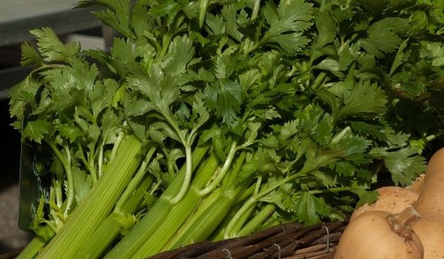 ������� �������� ��������� �� ����: �� ������� �� ������