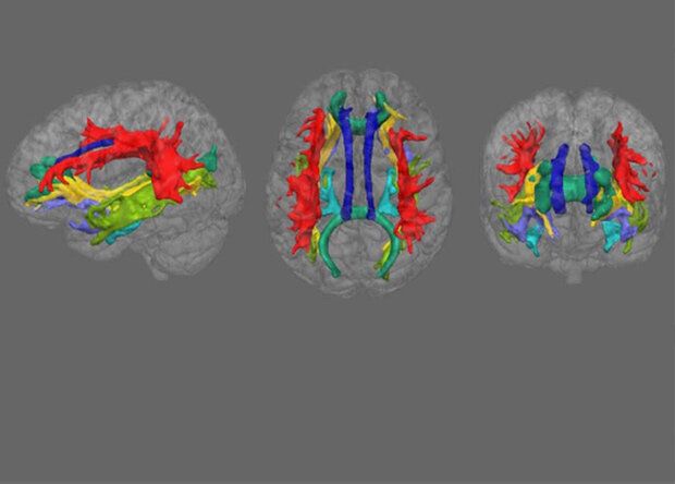 ���������: ��� ���������� � ���������� � ������������