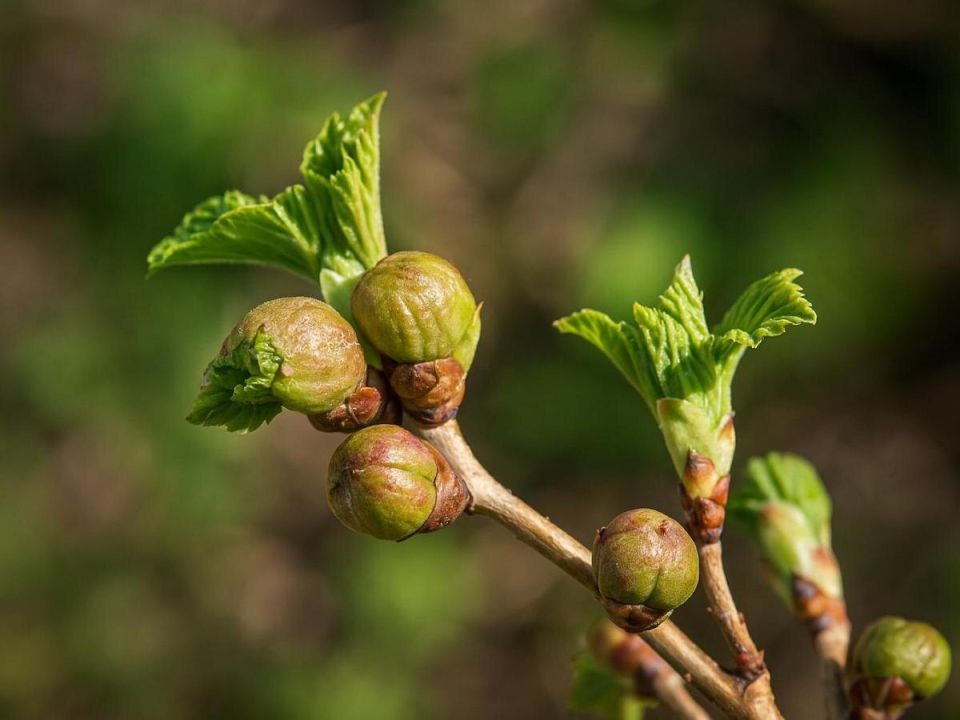 �������� ����: ��� ������ ��������� �� ���������