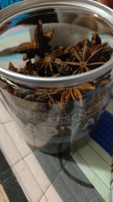 Специя, о которой вы не слышали: как бадьян улучшает здоровье кишечника